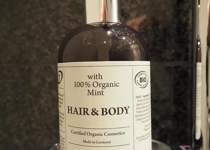 ワン メッセ ホテル フランクフルト